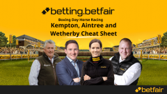 Horse racing tips from the Betfair Boxing Day cheat sheet